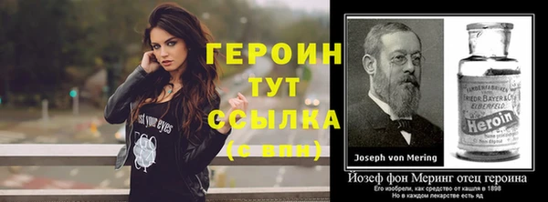 гидра Корсаков