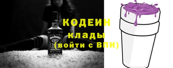 гидра Корсаков