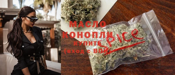гидра Корсаков