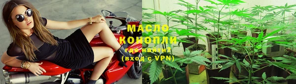 гидра Корсаков